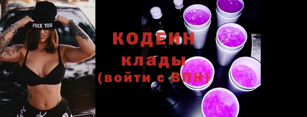 индика Пересвет